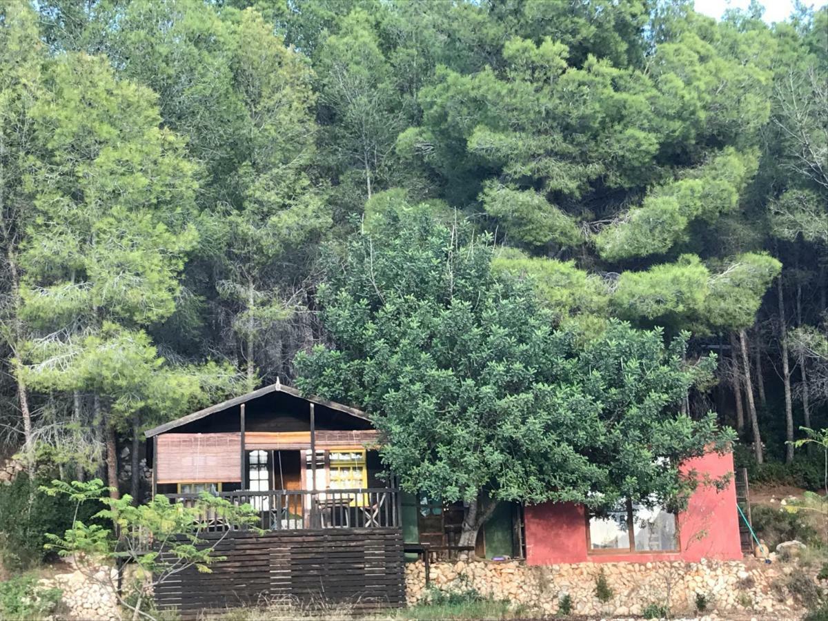 Вилла Casa Del Paso Bolulla Экстерьер фото